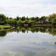 ヒメ日記 2025/05/17 23:59 投稿 岩佐ここな 松戸人妻花壇