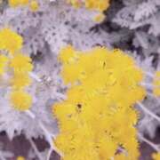 ヒメ日記 2025/06/12 22:56 投稿 岩佐ここな 松戸人妻花壇