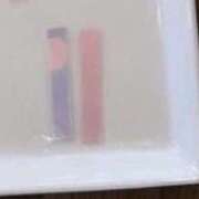 ヒメ日記 2025/08/05 22:58 投稿 岩佐ここな 松戸人妻花壇