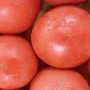 ヒメ日記 2025/09/02 22:18 投稿 岩佐ここな 松戸人妻花壇