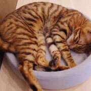 ヒメ日記 2025/09/07 21:01 投稿 岩佐ここな 松戸人妻花壇