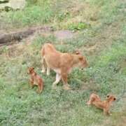 ヒメ日記 2025/12/08 22:53 投稿 岩佐ここな 松戸人妻花壇
