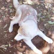 ヒメ日記 2026/01/19 21:18 投稿 岩佐ここな 松戸人妻花壇