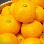 ヒメ日記 2026/02/17 23:15 投稿 岩佐ここな 松戸人妻花壇