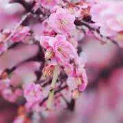 ヒメ日記 2026/02/26 22:41 投稿 岩佐ここな 松戸人妻花壇