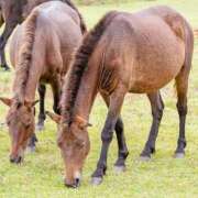 ヒメ日記 2026/03/02 22:23 投稿 岩佐ここな 松戸人妻花壇
