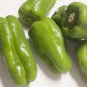 ヒメ日記 2026/03/23 22:06 投稿 岩佐ここな 松戸人妻花壇