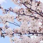 ヒメ日記 2026/04/05 21:52 投稿 岩佐ここな 松戸人妻花壇