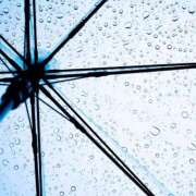 ヒメ日記 2026/04/10 23:38 投稿 岩佐ここな 松戸人妻花壇