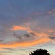 ヒメ日記 2026/04/11 23:46 投稿 岩佐ここな 松戸人妻花壇