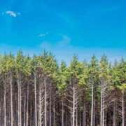 ヒメ日記 2026/04/13 23:01 投稿 岩佐ここな 松戸人妻花壇