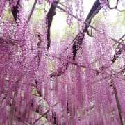 ヒメ日記 2026/04/23 21:05 投稿 岩佐ここな 松戸人妻花壇