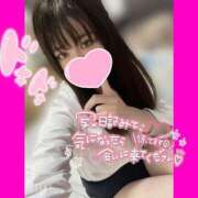 ヒメ日記 2025/01/14 12:07 投稿 しな OL倶楽部