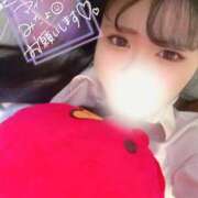 ヒメ日記 2025/11/04 09:01 投稿 しな OL倶楽部