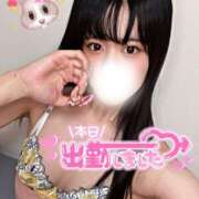 ヒメ日記 2026/01/11 08:52 投稿 しな OL倶楽部