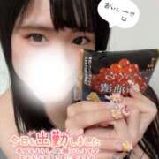 ヒメ日記 2026/01/13 08:30 投稿 しな OL倶楽部