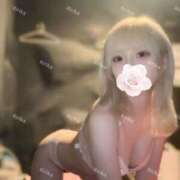 ヒメ日記 2025/10/11 21:03 投稿 りりか【FG系列】 クラブFG（FG系列）