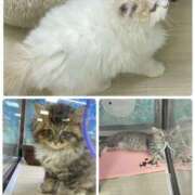 ヒメ日記 2024/12/14 16:40 投稿 たまき 奥鉄オクテツ奈良