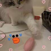 ヒメ日記 2024/12/15 09:30 投稿 たまき 奥鉄オクテツ奈良