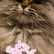 ヒメ日記 2025/01/27 15:05 投稿 たまき 奥鉄オクテツ奈良