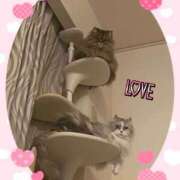 ヒメ日記 2025/02/22 18:10 投稿 たまき 奥鉄オクテツ奈良