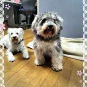 ヒメ日記 2025/03/02 15:10 投稿 たまき 奥鉄オクテツ奈良