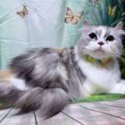 ヒメ日記 2025/05/23 19:35 投稿 たまき 奥鉄オクテツ奈良