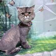 ヒメ日記 2025/05/24 09:45 投稿 たまき 奥鉄オクテツ奈良