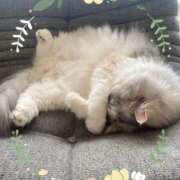 ヒメ日記 2025/06/22 10:50 投稿 たまき 奥鉄オクテツ奈良