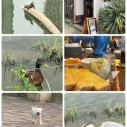 ヒメ日記 2025/07/02 09:50 投稿 たまき 奥鉄オクテツ奈良