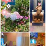 ヒメ日記 2025/07/09 07:40 投稿 たまき 奥鉄オクテツ奈良