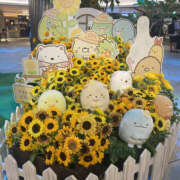 ヒメ日記 2025/07/19 23:00 投稿 たまき 奥鉄オクテツ奈良