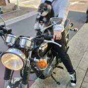 ヒメ日記 2025/07/23 07:55 投稿 たまき 奥鉄オクテツ奈良