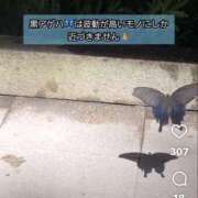 ヒメ日記 2025/08/02 16:10 投稿 たまき 奥鉄オクテツ奈良