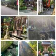 ヒメ日記 2025/08/16 09:25 投稿 たまき 奥鉄オクテツ奈良