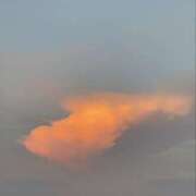 ヒメ日記 2025/08/19 12:55 投稿 たまき 奥鉄オクテツ奈良