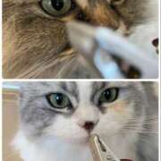 ヒメ日記 2025/08/22 14:50 投稿 たまき 奥鉄オクテツ奈良