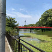 ヒメ日記 2025/08/29 08:45 投稿 たまき 奥鉄オクテツ奈良