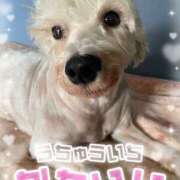 ヒメ日記 2025/08/30 17:05 投稿 たまき 奥鉄オクテツ奈良