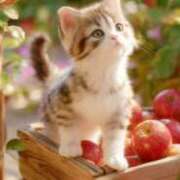 ヒメ日記 2025/08/31 14:45 投稿 たまき 奥鉄オクテツ奈良