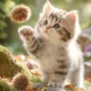 ヒメ日記 2025/09/07 17:40 投稿 たまき 奥鉄オクテツ奈良