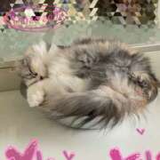 ヒメ日記 2025/09/11 12:05 投稿 たまき 奥鉄オクテツ奈良