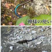 ヒメ日記 2025/09/18 17:05 投稿 たまき 奥鉄オクテツ奈良