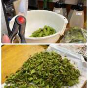 ヒメ日記 2025/10/12 23:15 投稿 たまき 奥鉄オクテツ奈良