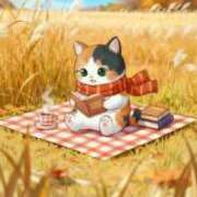 ヒメ日記 2025/10/16 11:35 投稿 たまき 奥鉄オクテツ奈良