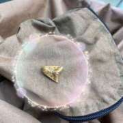 ヒメ日記 2025/10/23 14:20 投稿 たまき 奥鉄オクテツ奈良