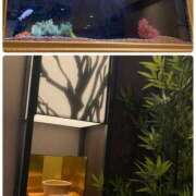 ヒメ日記 2025/10/26 08:30 投稿 たまき 奥鉄オクテツ奈良