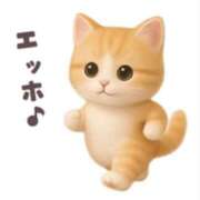 ヒメ日記 2025/10/29 06:15 投稿 たまき 奥鉄オクテツ奈良