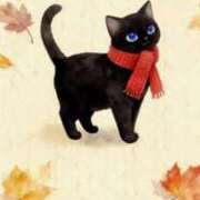 ヒメ日記 2025/10/29 17:55 投稿 たまき 奥鉄オクテツ奈良