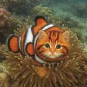 ヒメ日記 2025/11/02 13:05 投稿 たまき 奥鉄オクテツ奈良